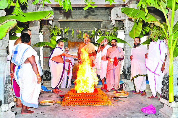 విజయవాడ సిటీ11