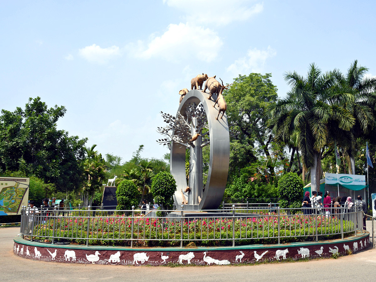 Tourists Throng To Nehru Zoological Park Photos2