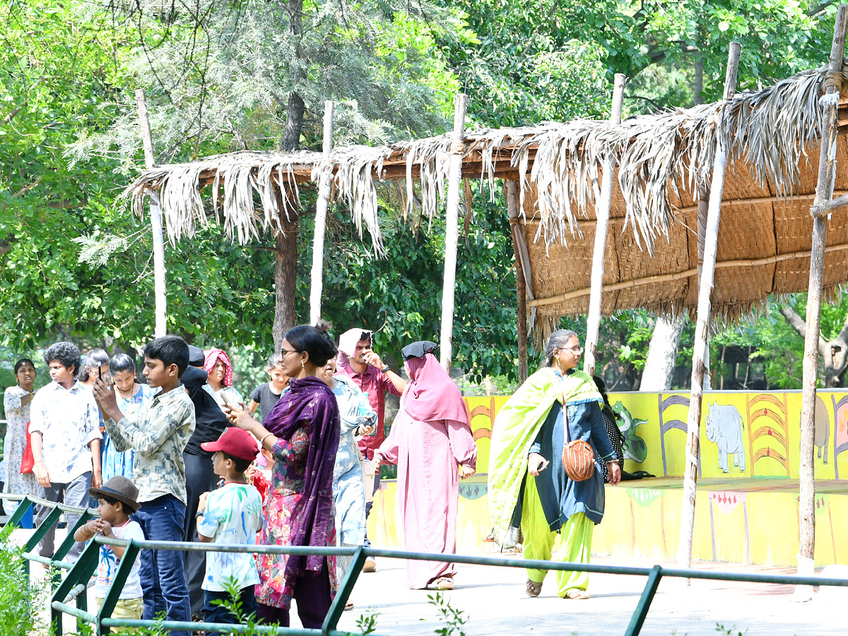 Tourists Throng To Nehru Zoological Park Photos12