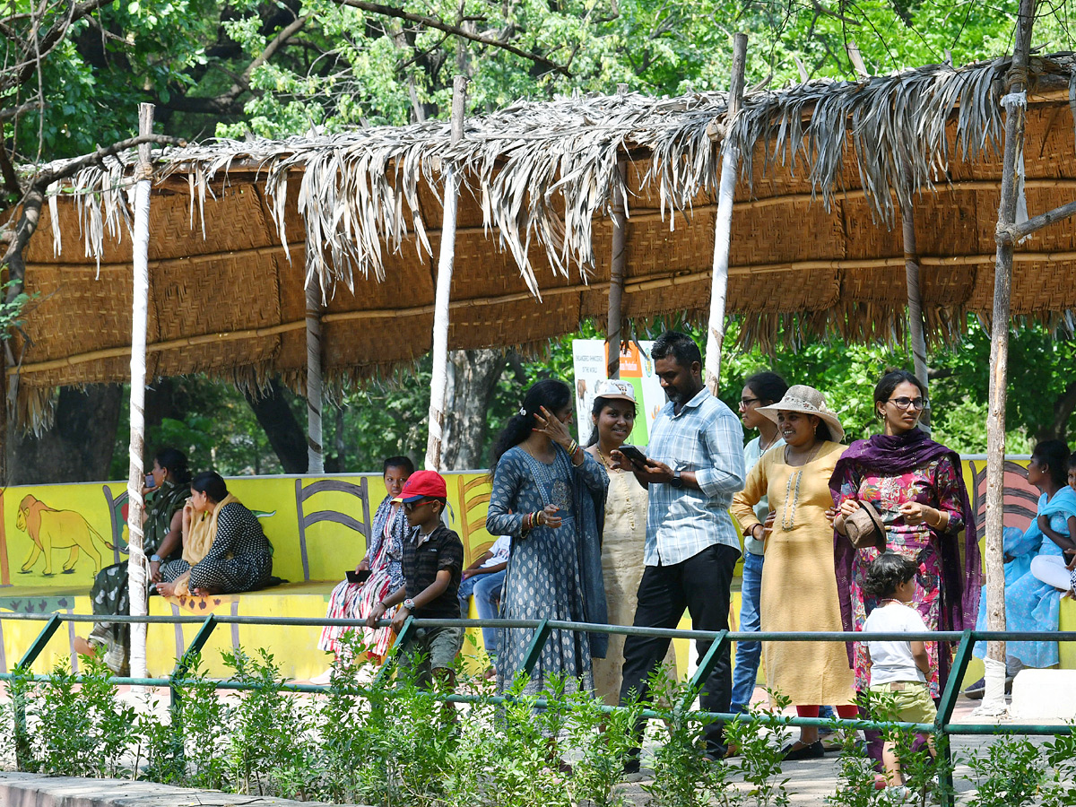 Tourists Throng To Nehru Zoological Park Photos13