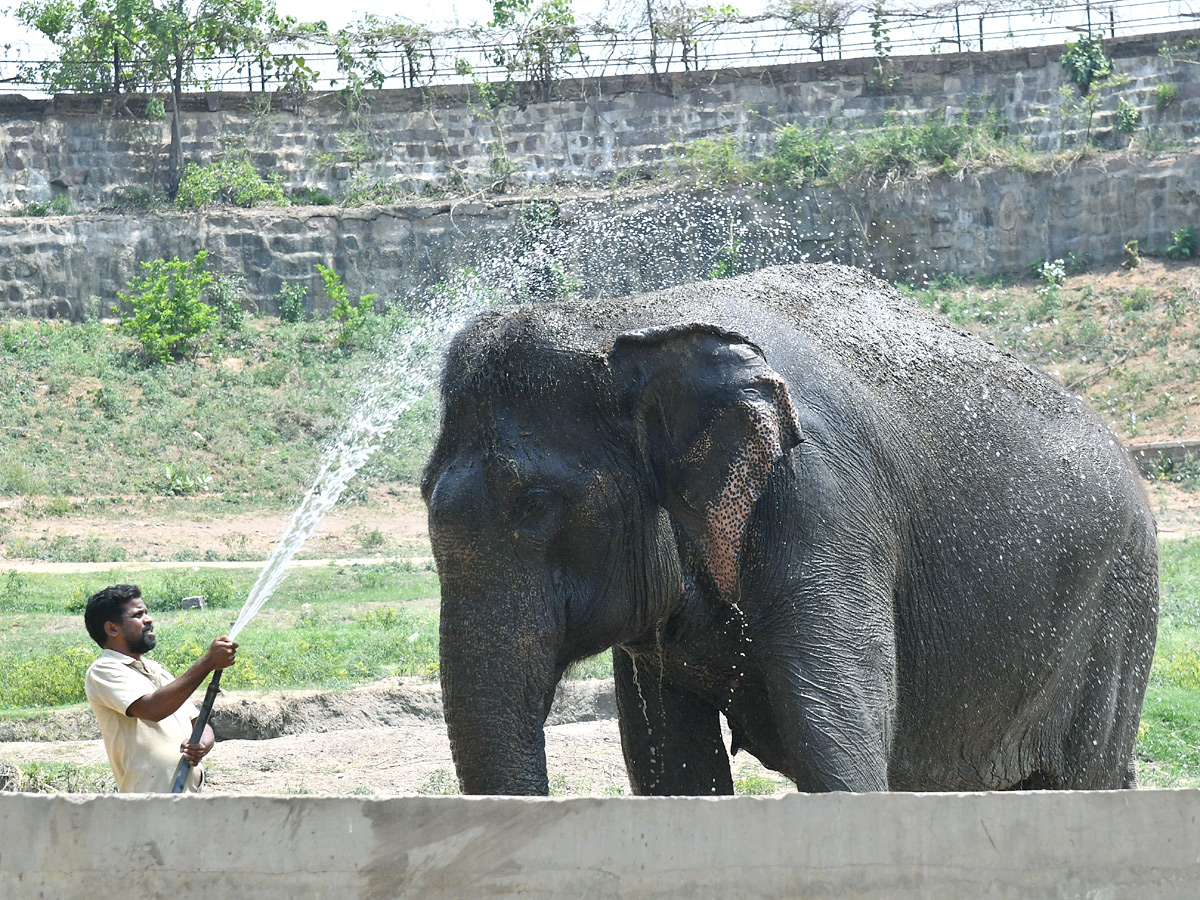 Tourists Throng To Nehru Zoological Park Photos24