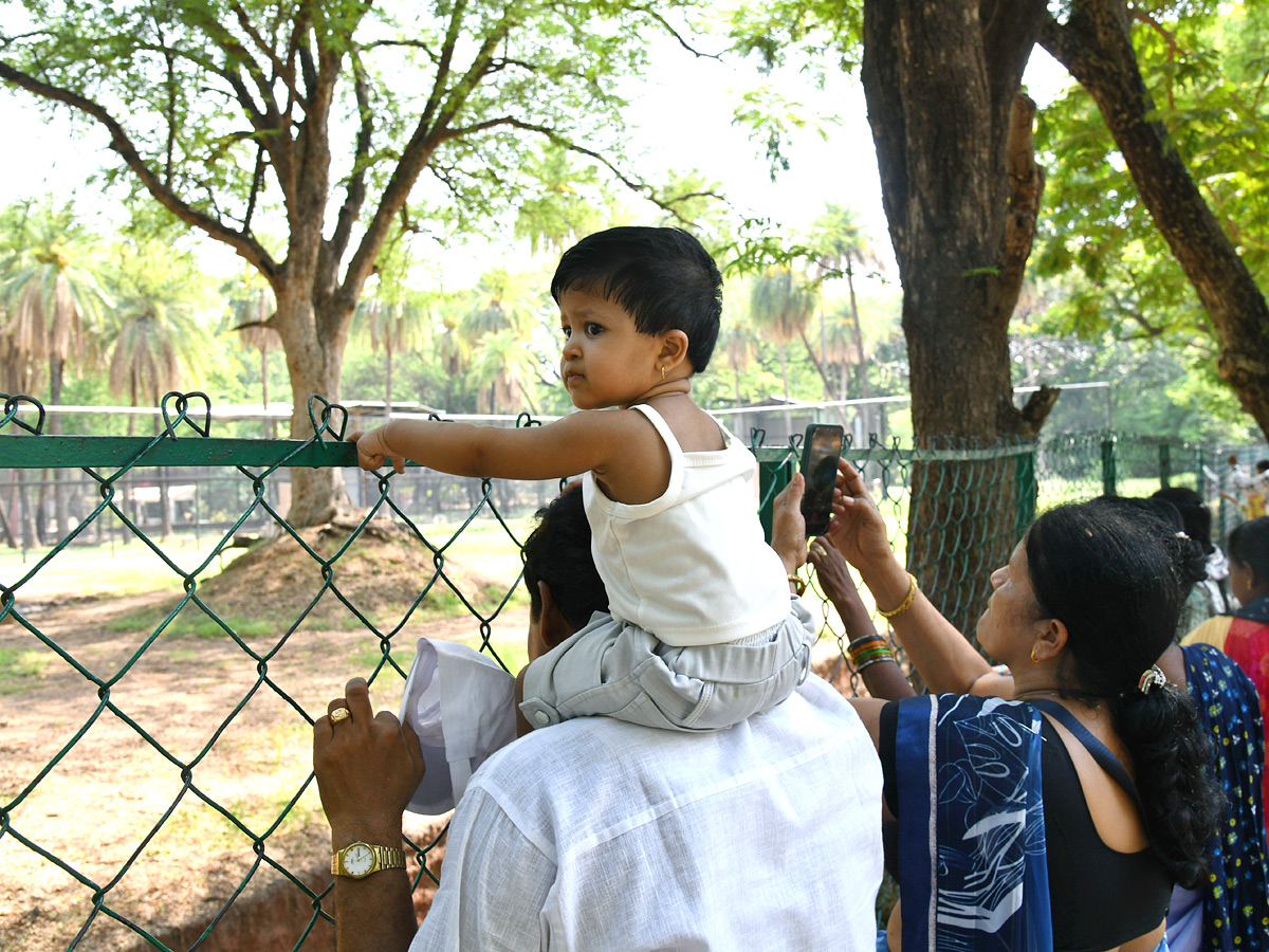 Tourists Throng To Nehru Zoological Park Photos6