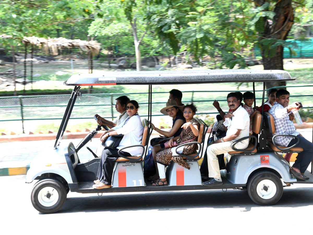 Tourists Throng To Nehru Zoological Park Photos8