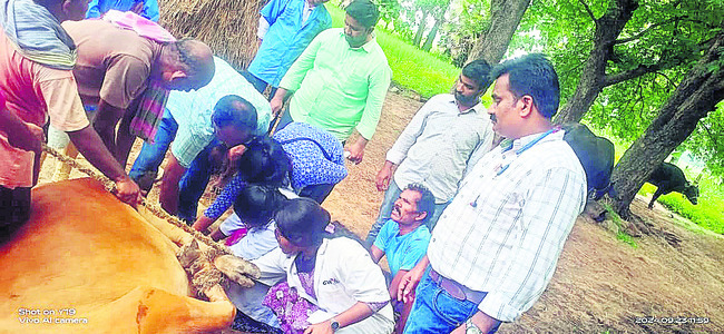 కూటమి ప్రభుత్వం ప్రజా సంక్షేమాన్నే కాదు.. మూగజీవుల సంక్1