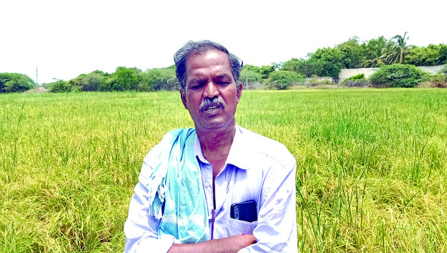 కరువు సీమలో కాసుల గలగల 1