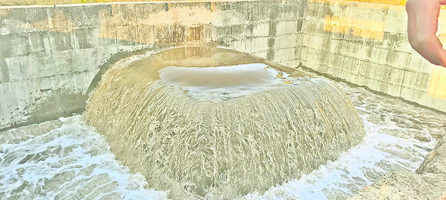 యాసంగి ‘పంట పండింది’ 1