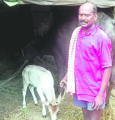 వ్యర్థానికి కట్టలతో అర్థం2