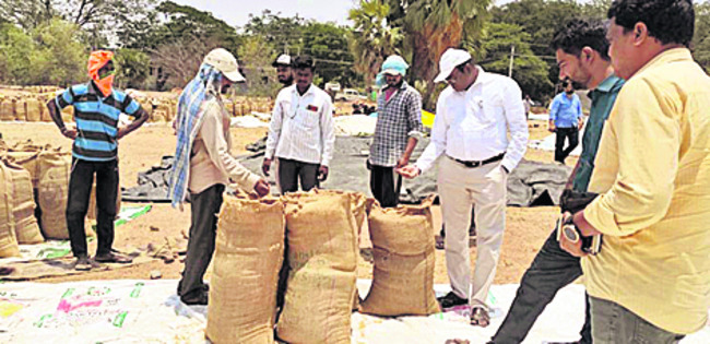 నాణ్యమైన ధాన్యం కొనాలి 1