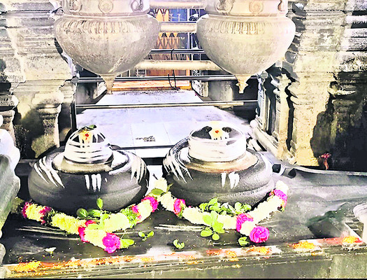 పుష్కరాలకు వైద్యసేవలు1