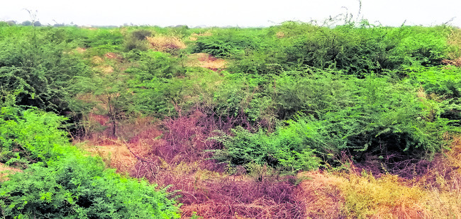 ఒక్క పరిశ్రమ లేదు.. ఉద్యోగం రాదు1