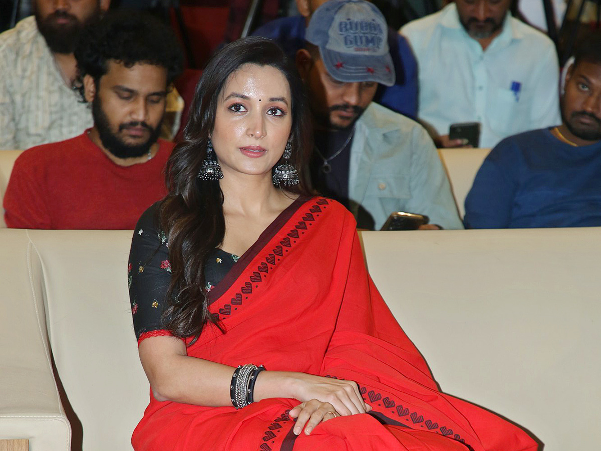 Nani HIT3 Movie Blockbuster Success Meet Photos6