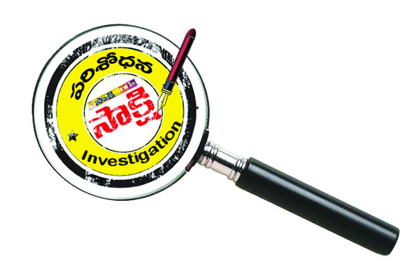 మట్టిదందా.. కాసులపంట 4