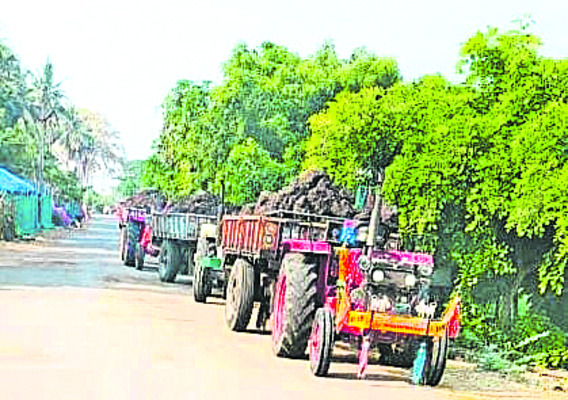 కొల్లగొట్టేస్తున్నారు2