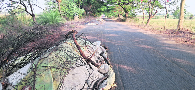 కలెక్టర్‌ చెప్పినా కరుణించరా? 1