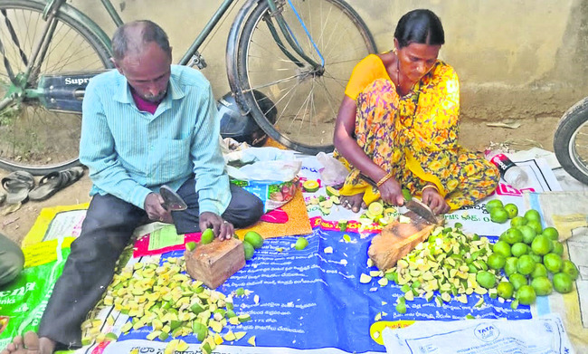 ప్రారంభమైన పచ్చళ్ల సీజన్1