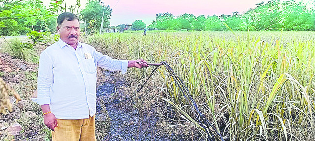 హకీంపేట్లో సీసీ కెమెరాల ఏర్పాటు 1