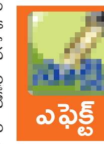 సచివాలయ ఉద్యోగిపై చర్యలు తీసుకోండి 1