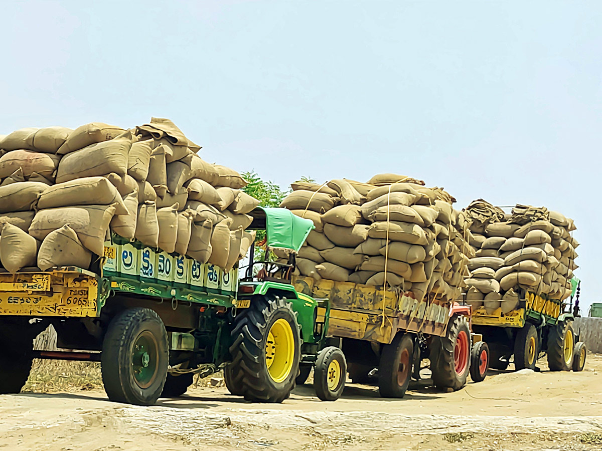Best Photos of The Week in AP and Telangana Photo Gallery26