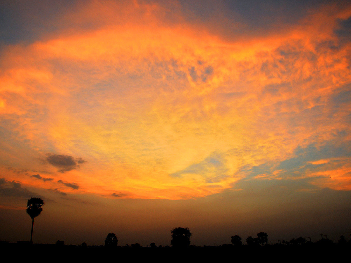 Best Photos of The Week in AP and Telangana Photo Gallery5