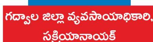 మామిడి.. మాగించే పద్ధతులు 2