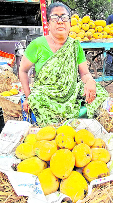 సందిపాము వెంకట రత్నమ్మ2