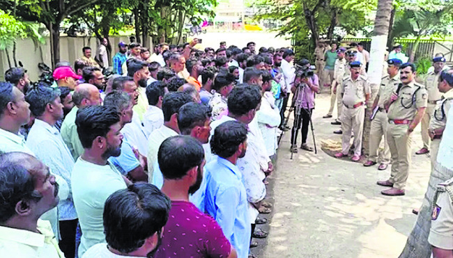 తోటలో నల్ల పునుగు 1