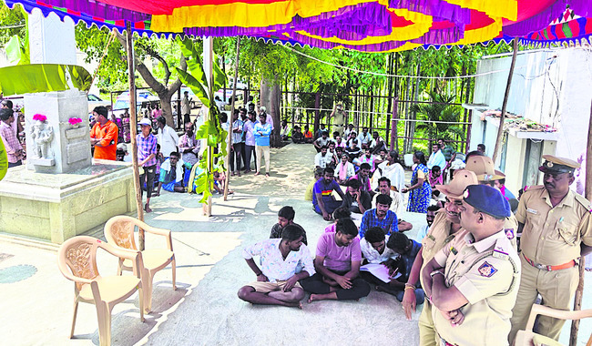 తోటలో నల్ల పునుగు 3