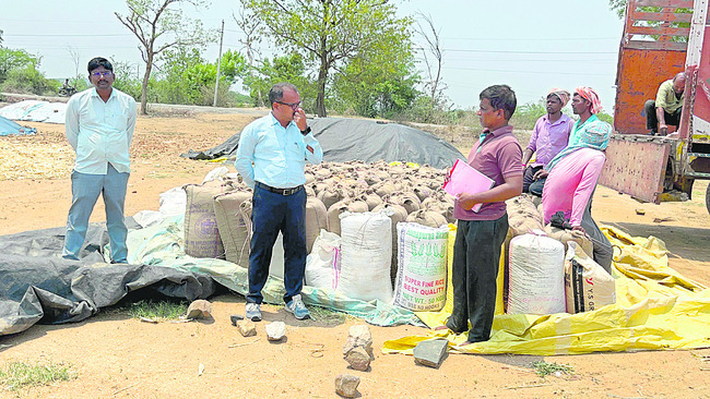 వన దుర్గమ్మకు పల్లకీ సేవ
2