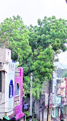 ఉదయం ఎండ.. సాయంత్రం వర్షం 2