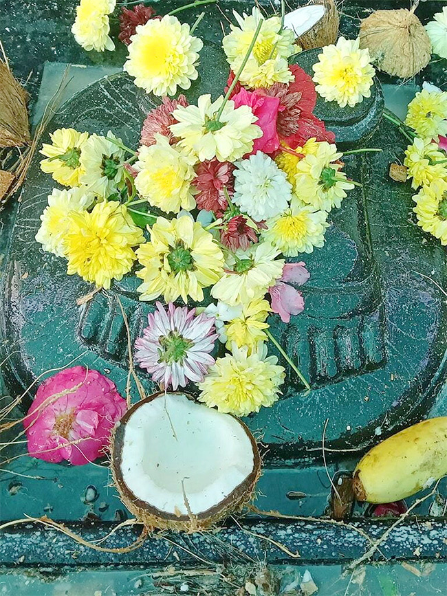 Vadapalli Sri Venkateswara Swamy Temple at Andhra Pradesh12