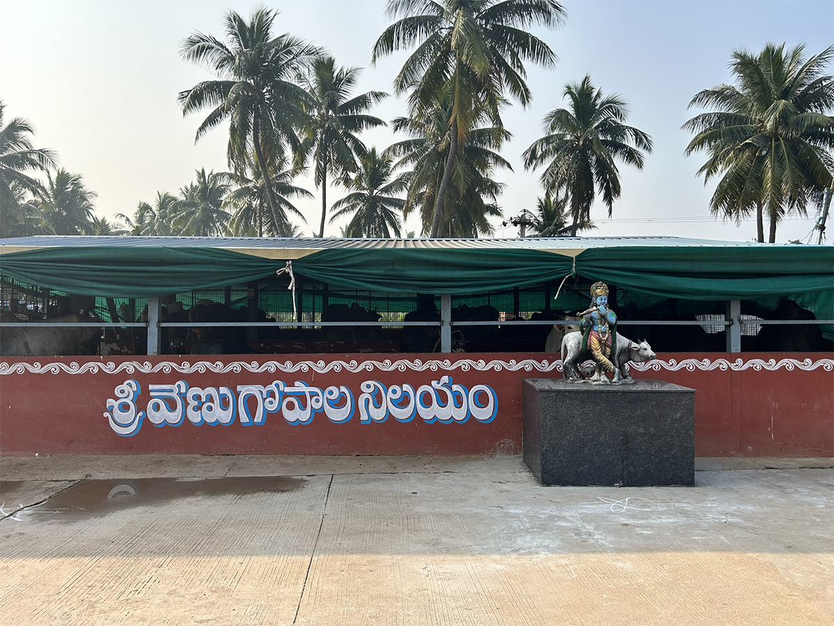 Vadapalli Sri Venkateswara Swamy Temple at Andhra Pradesh17