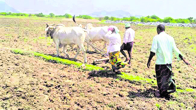 మరో నెల రోజుల్లో ఖరీఫ్ సీజన్ పలకరించనుంది. దాంతోపాటే 1