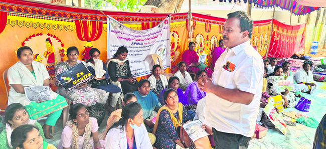 కోకో రైతుకు సిండికేట్ దెబ్బ 1