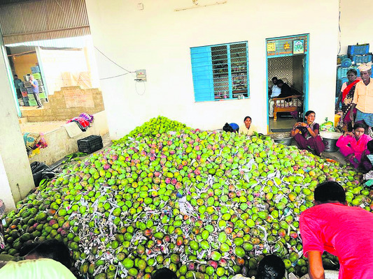 ● దళారులు, వ్యాపారుల ములాఖత్ 1