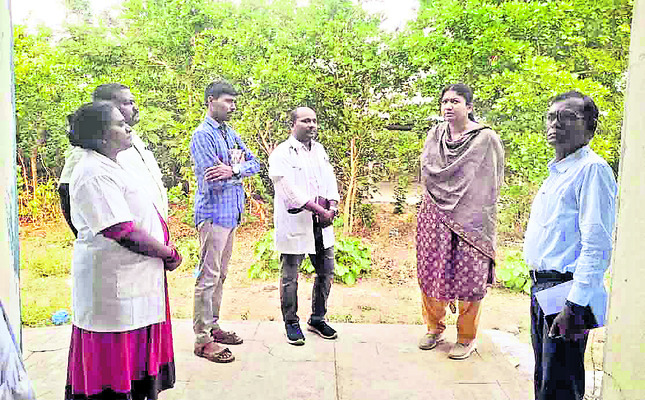 ఆయిల్పామ్ సాగు విస్తీర్ణం పెంచాలి1