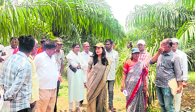 అకాల వర్షానికి తడిసిన ధాన్యం3