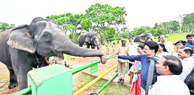 ఎవరితోనూ శతృత్వం ఇల్లే!2