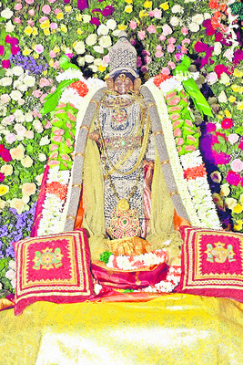 కనులపండువగా దశావతార ఉత్సవం3
