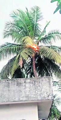 సారా నిర్మూలనకు ప్రత్యేక చర్యలు 1