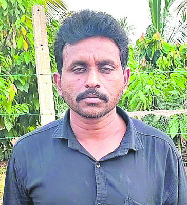 ప్చ్... ఎండు మిర్చి! 3