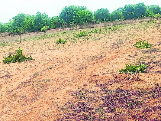 అయ్యప్పస్వామి  బంగారు విగ్రహ ప్రతిష్ట 2