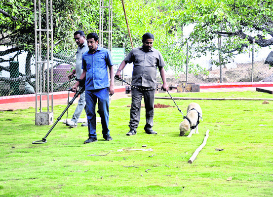 పిల్లలమర్రి ‘ముస్తాబు’ 1