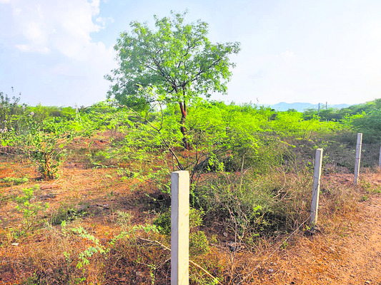 కూటమిలో చేరి.. భూమిని దోచేసి!1