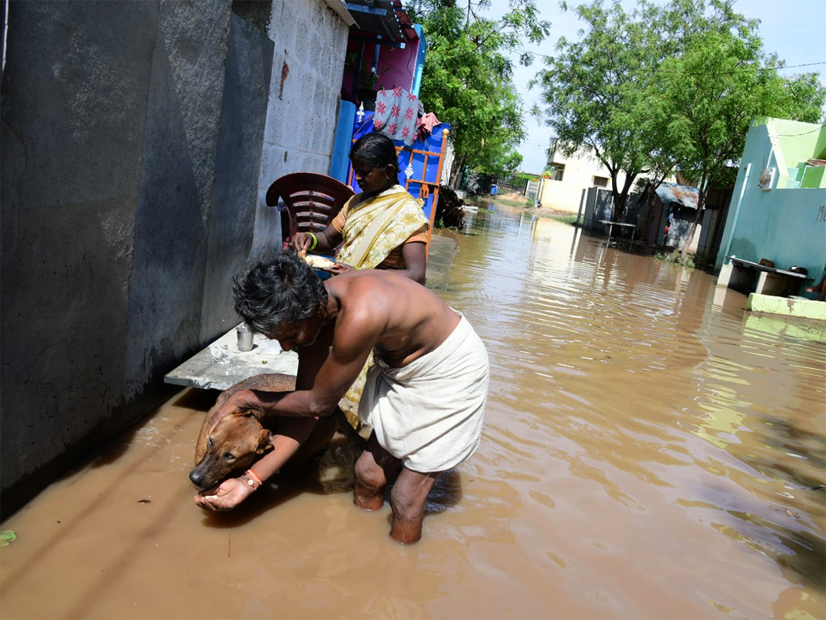 Heavy Rains In Anantapur District Photos10