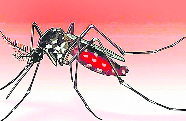 కుట్టిందో మరణమే.. 1