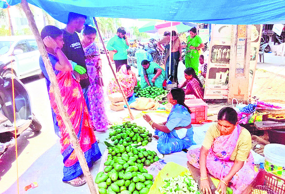 మార్కెట్లోకి పచ్చడి మామిడి 1