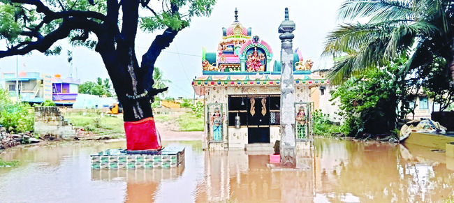 జిల్లాలో విస్తారంగా వర్షాలు2