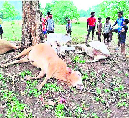 పరలా వీధి ఘటనలో   మరో ఇద్దరు మృతి 1