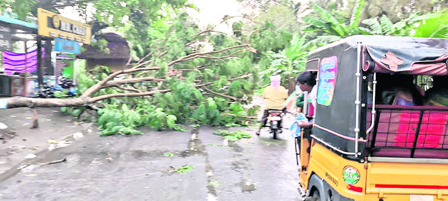 ఈదురు గాలుల బీభత్సం1