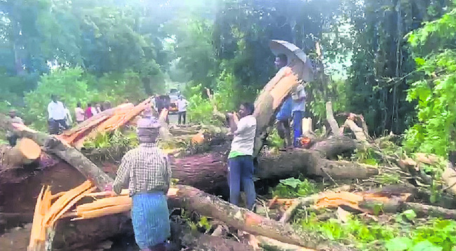 ఏజెన్సీలో విస్తారంగా వర్షాలు2